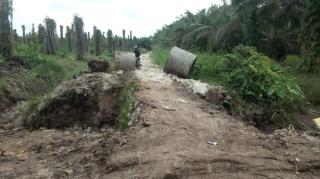 Putus Akses Kendaraan Roda 4, PT. Rosna Menggali Jalan Masyarakat Desa Pangkalan Baru Kampar