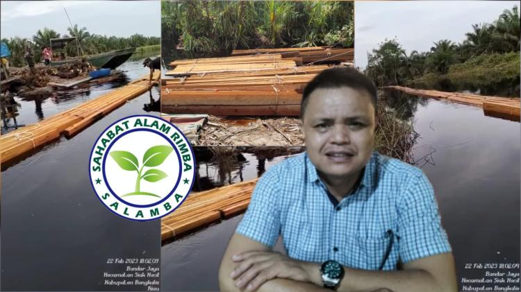Ilegal Logging Kembali Marak di SM Giam Siak Kecil, SALAMBA Desak Kapolda Riau dan Gakkum KLHK RI Tangkap Pelaku