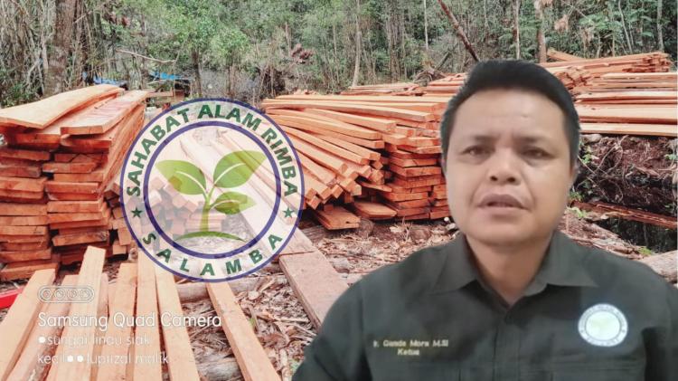 SALAMBA Prihatin Praktek Ilegal Logging di Cagar Biosfer Giam Siak Kecil dan Hutan Desa Semakin Marak, Ganda: Dimana BKSDA dan DLH Riau?