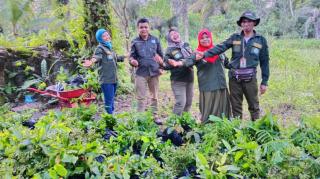 Peduli Lingkungan dan Bencana Banjir, Yayasan Salamba Lakukan Pemulihan DAS Di Riau