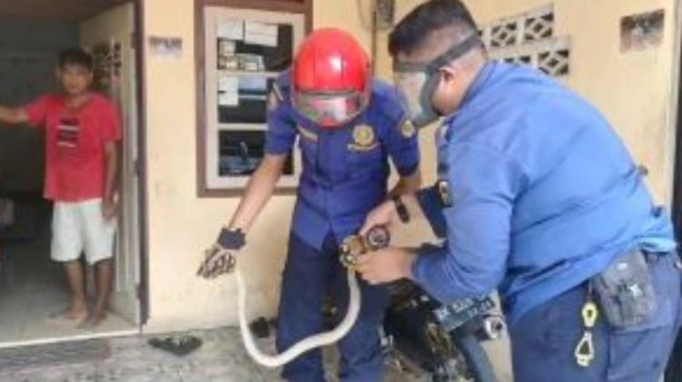 Tim Rescue Damkar Pekanbaru Evakuasi Ular Kobra Didalam Bak Mandi Warga