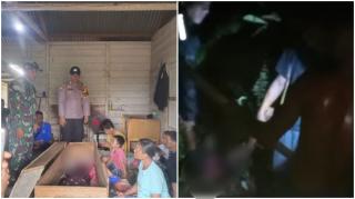 Pekerja Sawit di Siak Tewas Diserang Harimau Saat Buang Air